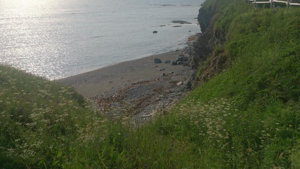 Les Cabines Sur Mer Cap-des-Rosiers Exteriér fotografie
