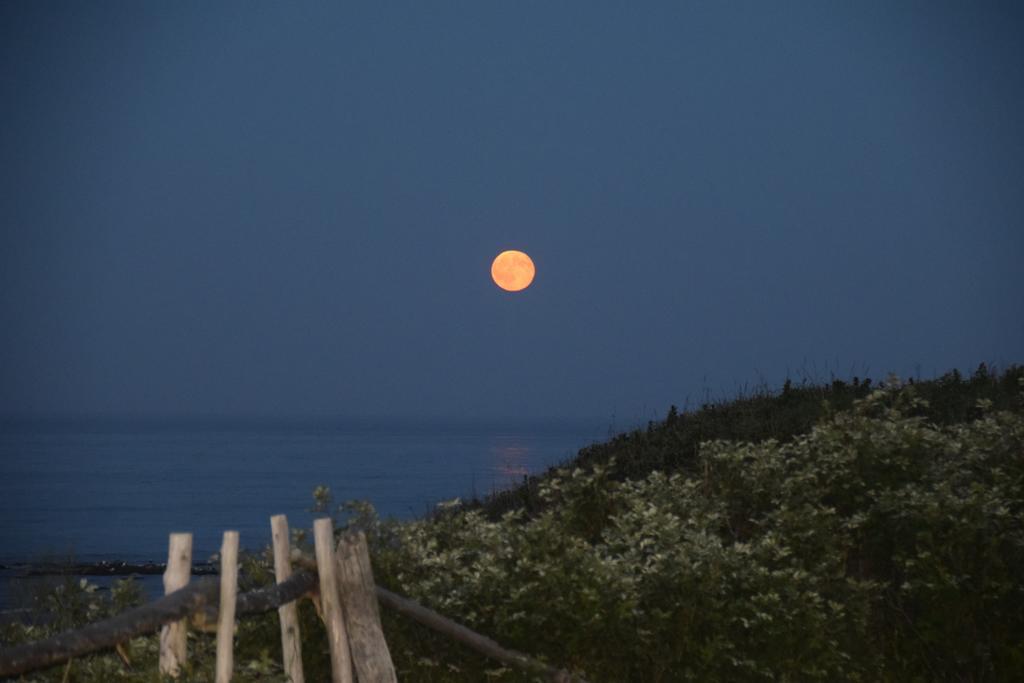 Les Cabines Sur Mer Cap-des-Rosiers Exteriér fotografie