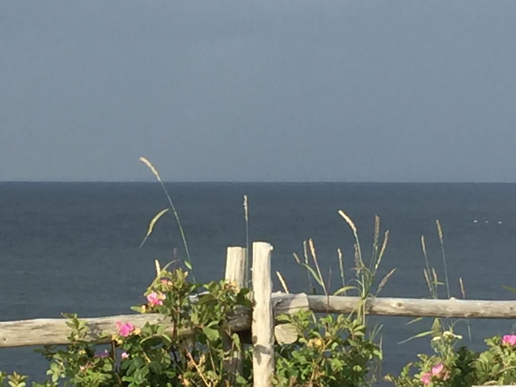 Les Cabines Sur Mer Cap-des-Rosiers Exteriér fotografie